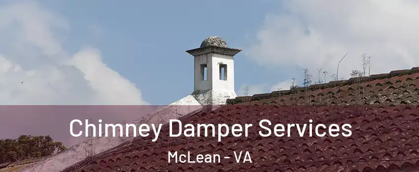 Chimney Damper Services McLean - VA
