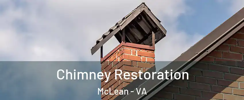  Chimney Restoration McLean - VA