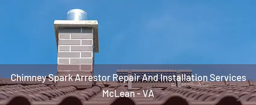  Chimney Spark Arrestor Repair And Installation Services McLean - VA