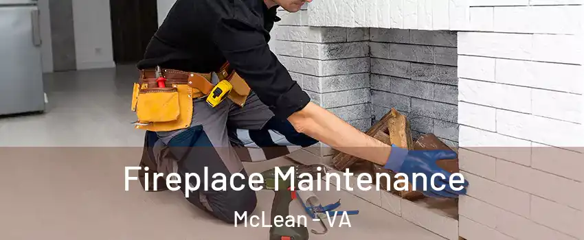  Fireplace Maintenance McLean - VA