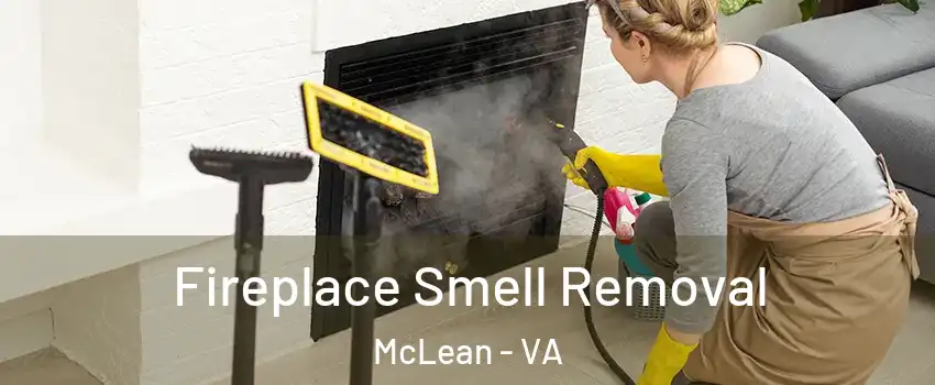  Fireplace Smell Removal McLean - VA