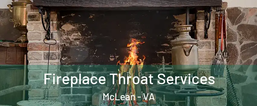  Fireplace Throat Services McLean - VA