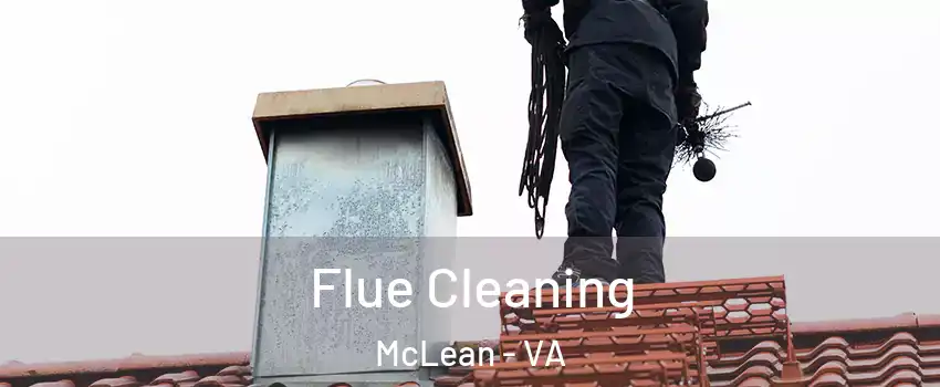  Flue Cleaning McLean - VA