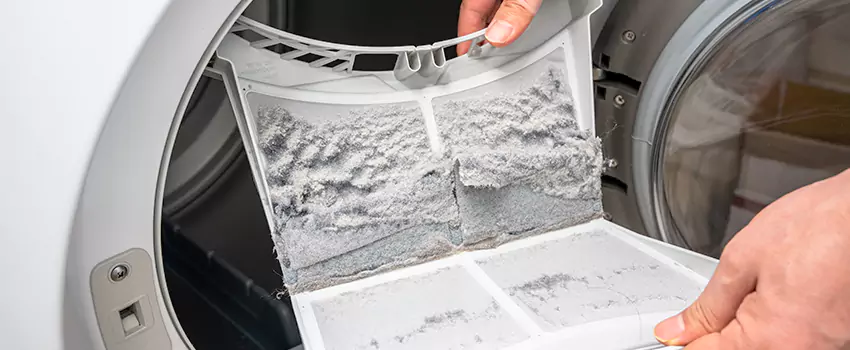 Best Dryer Lint Removal Company in McLean, Virginia