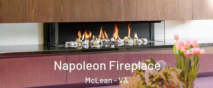  Napoleon Fireplace McLean - VA