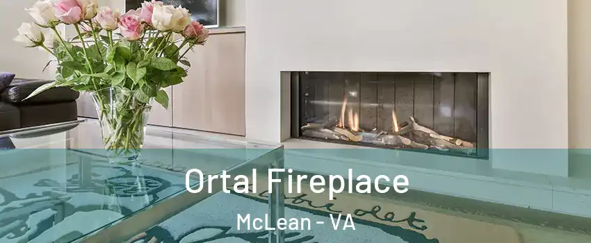  Ortal Fireplace McLean - VA